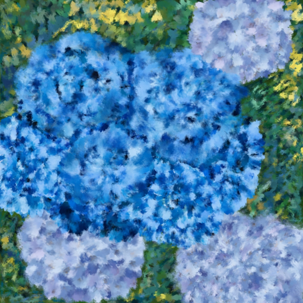 parterre_de_fleurs